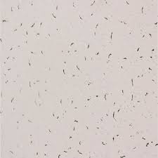 Cielo de Fibra Mineral Concorde – 2x2